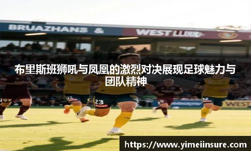 布里斯班狮吼与凤凰的激烈对决展现足球魅力与团队精神